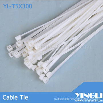 Rohs Approved Nylon Cable Tie (YL-T5X300)